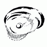 odprysk - bawole oko